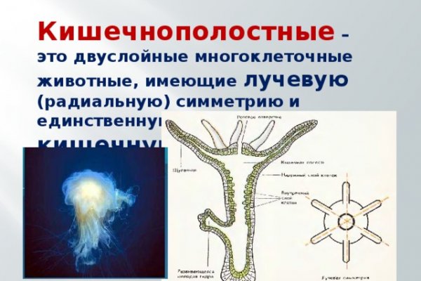 Как вывести с кракена