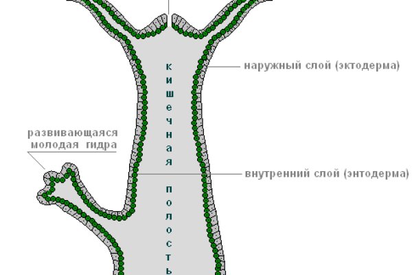 Кракен маркет зеркало